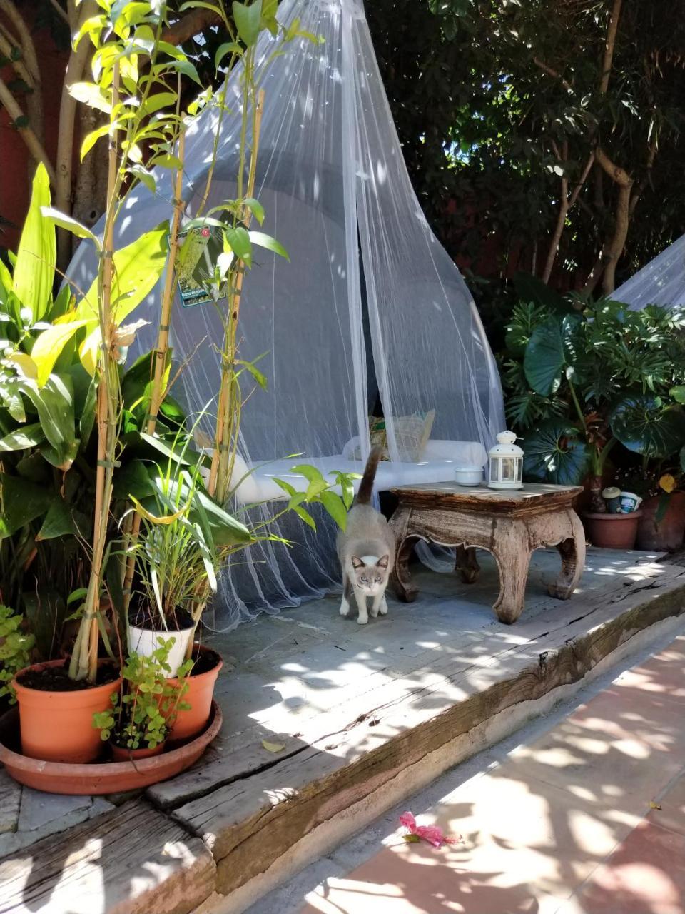 La Posada De Lola - Adults Only Bolonia